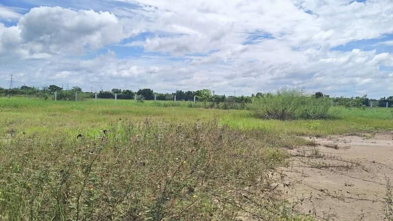 ที่ดินหนองจอก กรุงเทพมหานคร, กรุงเทพ, คลองสิบสอง, หนองจอก, กรุงเทพ, 1,600 ตร.ม., ที่ดิน ขาย, โดย The Best Property นิ, 500562123 - DDproperty.com