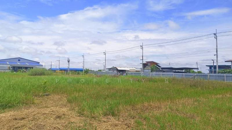 ที่ดินหนองจอก กรุงเทพมหานคร, bangkok, Khlong Sibsong, Nong Chok, Bangkok, , 1,600 sqm, Land For Sale, by The Best Property นิ, 500562123 - DDproperty.com