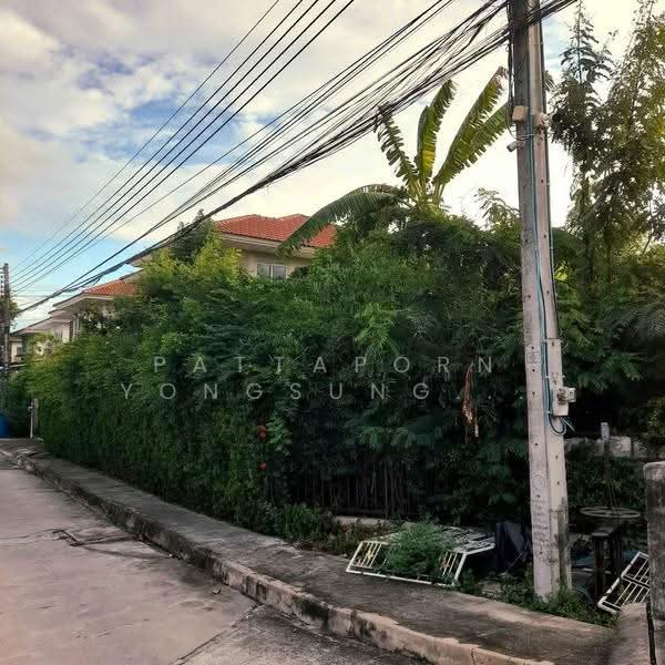 3-BR House, Bangkok, Sai Mai, Bangkok, 3 Bedrooms, 204 sqm, Single Detached House For Sale, by Pattaporn Yongsungnone, 500562160 - DDproperty.com