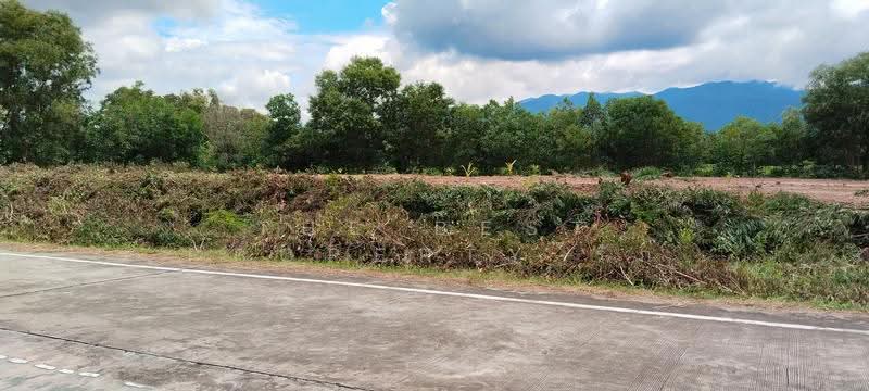 ที่ดินเกาะขวาง จันทบุรี, จันทบุรี, เกาะขวาง, เมืองจันทบุรี, จันทบุรี, 4,200 ตร.ม., ที่ดิน ขาย, โดย The Best Property รัก, 500562286 - DDproperty.com