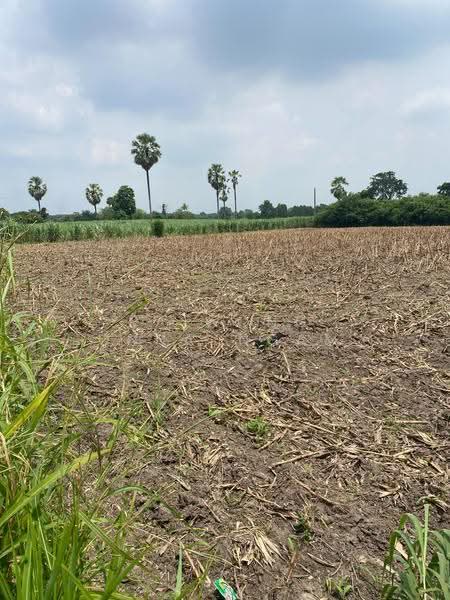 ขายที่ดิน 4-2-31 ไร่ ติดถนนทางหลวง สบ. 1022 อ.หนองโดน จ.สระบุรี, Saraburi, ถนนทางหลวง สบ. 1022, Ban Klap, Nong Don, Saraburi, , 7,324 sqm, Land For Sale, by Paiwong Onna-nam, 500562416 - DDproperty.com
