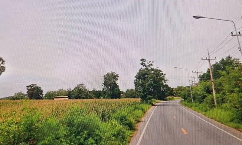 ขายที่ดิน 4-2-31 ไร่ ติดถนนทางหลวง สบ. 1022 อ.หนองโดน จ.สระบุรี, Saraburi, ถนนทางหลวง สบ. 1022, Ban Klap, Nong Don, Saraburi, , 7,324 sqm, Land For Sale, by Paiwong Onna-nam, 500562416 - DDproperty.com