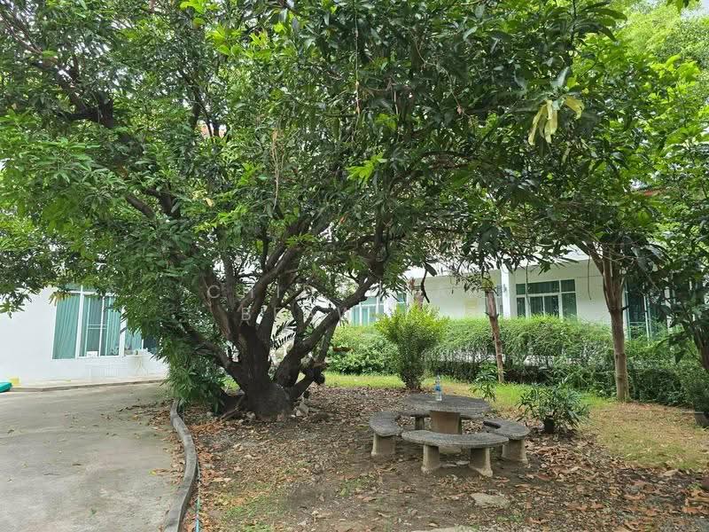 House and Land for sale 350 sq.wa Sukhumvit 42- rama4, Bangkok, พระราม4, Khong Tan, Khlong Toei, Bangkok, , 1,400 sqm, Land For Sale, by Chidaphar Beawlek, 500562433 - DDproperty.com