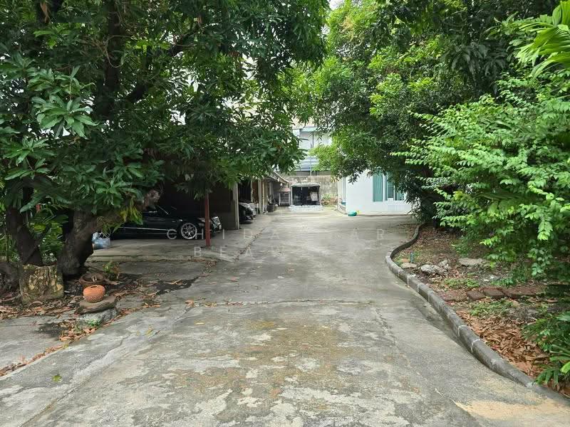 House and Land for sale 350 sq.wa Sukhumvit 42- rama4, Bangkok, พระราม4, Khong Tan, Khlong Toei, Bangkok, , 1,400 sqm, Land For Sale, by Chidaphar Beawlek, 500562433 - DDproperty.com