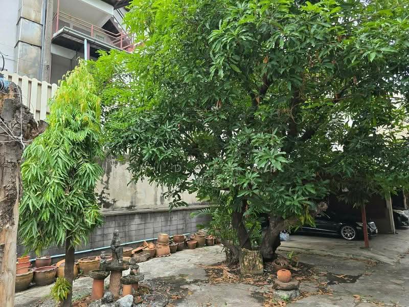 House and Land for sale 350 sq.wa Sukhumvit 42- rama4, Bangkok, พระราม4, Khong Tan, Khlong Toei, Bangkok, , 1,400 sqm, Land For Sale, by Chidaphar Beawlek, 500562433 - DDproperty.com