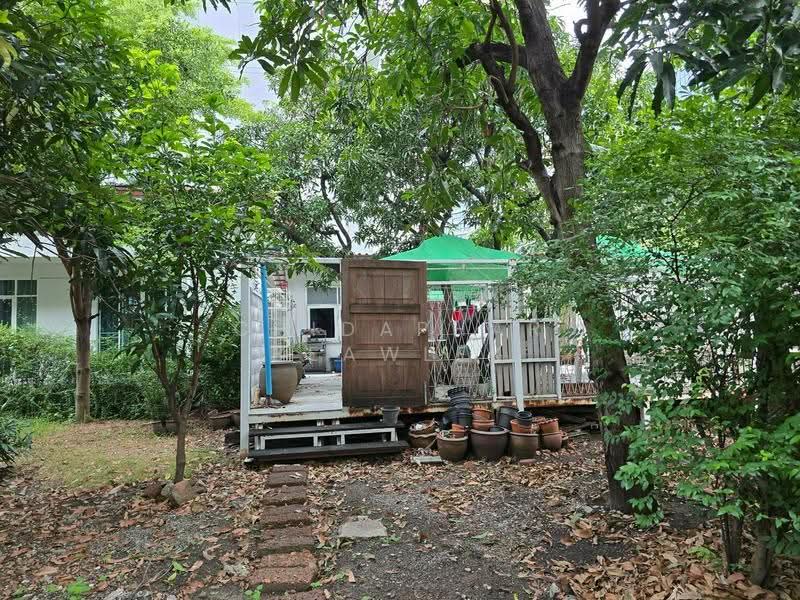 House and Land for sale 350 sq.wa Sukhumvit 42- rama4, Bangkok, พระราม4, Khong Tan, Khlong Toei, Bangkok, , 1,400 sqm, Land For Sale, by Chidaphar Beawlek, 500562433 - DDproperty.com