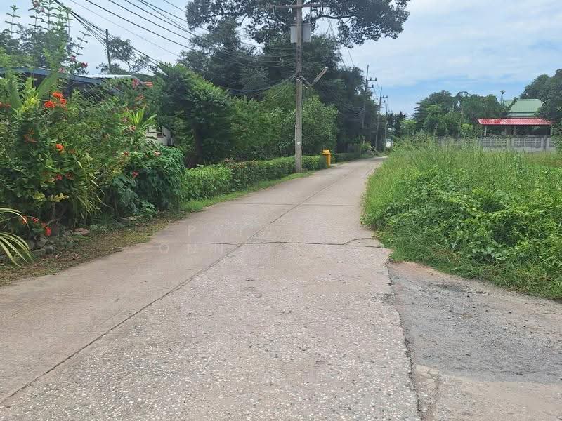 ขายที่ดินเปล่า 347 ตรว. ใจกลางเทศบาล อ.เมือง จ.นครสวรรค์, นครสวรรค์, นครสวรรค์ตก, เมืองนครสวรรค์, นครสวรรค์, 1,388 ตร.ม., ที่ดิน ขาย, โดย paiwong onna-ngam, 500562459 - DDproperty.com