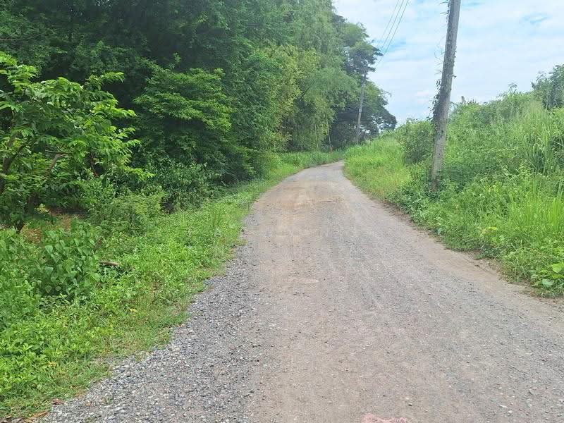 ขายที่ดินเปล่า 347 ตรว. ใจกลางเทศบาล อ.เมือง จ.นครสวรรค์, Nakhon Sawan, Nakhonsawan Tok, Muang Nakhon Sawan, Nakhon Sawan, , 1,388 sqm, Land For Sale, by Paiwong Onna-nam, 500562459 - DDproperty.com