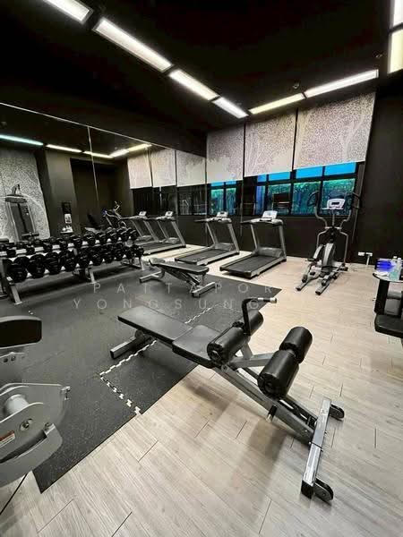 Noble Reveal, Bangkok, 36 Soi Sukhumvit 63, Ekamai Road, Phra Kanong Nua, Watthana, Bangkok, 1 Bedroom, 48 sqm, Condo For Rent, by Pattaporn Yongsungnone, 500562462 - DDproperty.com