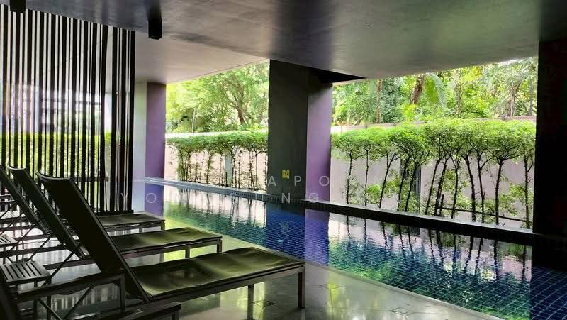 Noble Reveal, Bangkok, 36 Soi Sukhumvit 63, Ekamai Road, Phra Kanong Nua, Watthana, Bangkok, 1 Bedroom, 48 sqm, Condo For Rent, by Pattaporn Yongsungnone, 500562462 - DDproperty.com