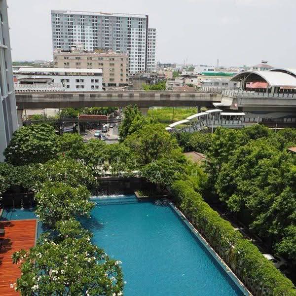 The Room Sukhumvit 62, Bangkok, 2288 Sukhumvit Road, Bang Chak, Phra Khanong, Bangkok, 1 Bedroom, 45 sqm, Condo For Sale, by Nattapol Jedsadathitikul, 500562465 - DDproperty.com