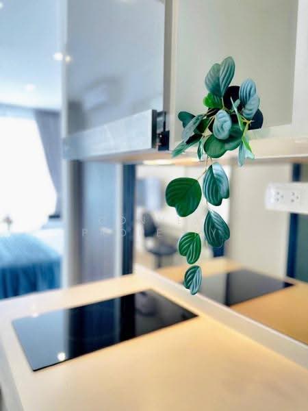The Rich Rama 9-Srinakarin, Bangkok, Srinakarin Road, Suan Luang, Bangkok, 1 Bedroom, 26 sqm, Condo For Rent, by Connex Property, 500562592 - DDproperty.com
