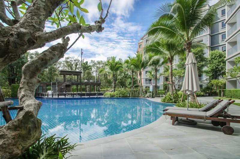 The Title Residences (Naiyang), Phuket, 234 5 Moo 5 Soi Bangmalauw 2, Sa Khu, Thalang, Phuket, 1 Bedroom, 36 sqm, Condo For Rent, by Fazwaz (Thailand) Co., Ltd., 500562705 - DDproperty.com