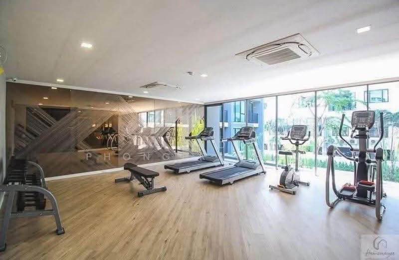 Serio Sukhumvit 50 : เซอริโอ้ สุขุมวิท 50, กรุงเทพ, ซอยสุขุมวิท 50, พระโขนง, คลองเตย, กรุงเทพ, 51 ตร.ม., คอนโด ให้เช่า, โดย Sannop Phongpraphan, 500562753 - DDproperty.com