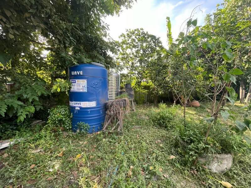 ขายที่ดินเปล่าติดถนน หมู่บ้านลานทอง ปากเกร็ด ที่สวย ทำเลดี ขายถูก, Nonthaburi, Bang Phut, Pak Kret, Nonthaburi, , 664 sqm, Land For Sale, by ปภาดา อัครเกียรติภูมิ, 500562813 - DDproperty.com