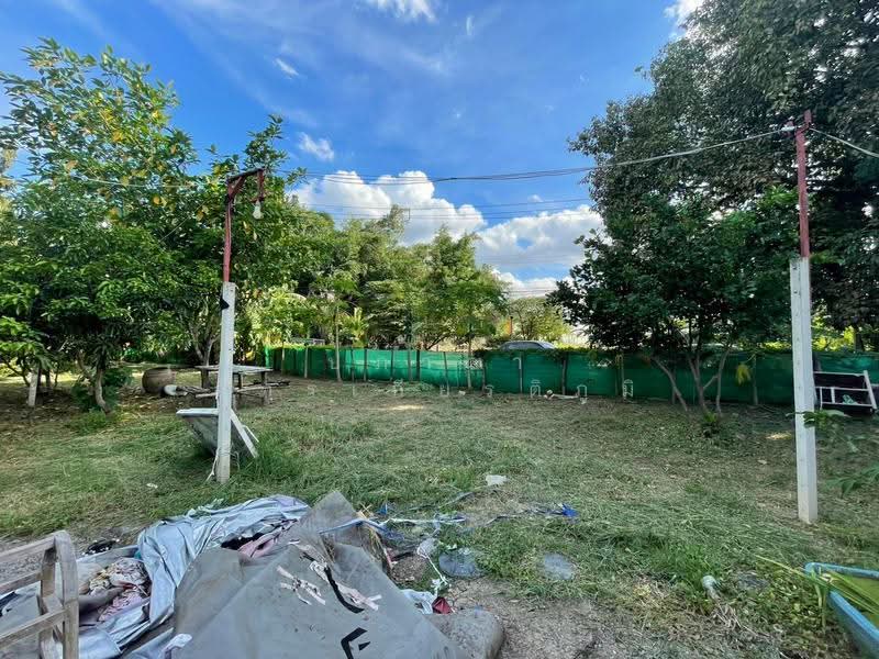 ขายที่ดินเปล่าติดถนน หมู่บ้านลานทอง ปากเกร็ด ที่สวย ทำเลดี ขายถูก, Nonthaburi, Bang Phut, Pak Kret, Nonthaburi, , 664 sqm, Land For Sale, by ปภาดา อัครเกียรติภูมิ, 500562813 - DDproperty.com