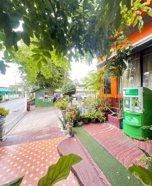 อพาร์ทเม้นท์พระโขนง กรุงเทพมหานคร, bangkok, Bang Chak, Phra Khanong, Bangkok, , 100 sqm, Business For Sale, by The Best Property รัตน์, 500562907 - DDproperty.com