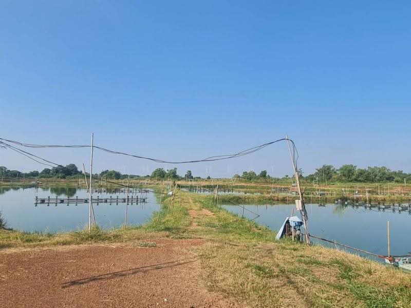 ที่ดินบ้านสร้าง ปราจีนบุรี, ปราจีนบุรี, บางเตย, บ้านสร้าง, ปราจีนบุรี, 22,576 ตร.ม., ที่ดิน ขาย, โดย The Best Property นก, 500563043 - DDproperty.com