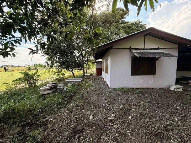 2-BR House, Bangkok, Sam Wa Tawan Tok, Khlong Sam Wa, Bangkok, 2 Bedrooms, 66 sqm, Single Detached House For Sale, by Rasita Maneelam, 500563150 - DDproperty.com