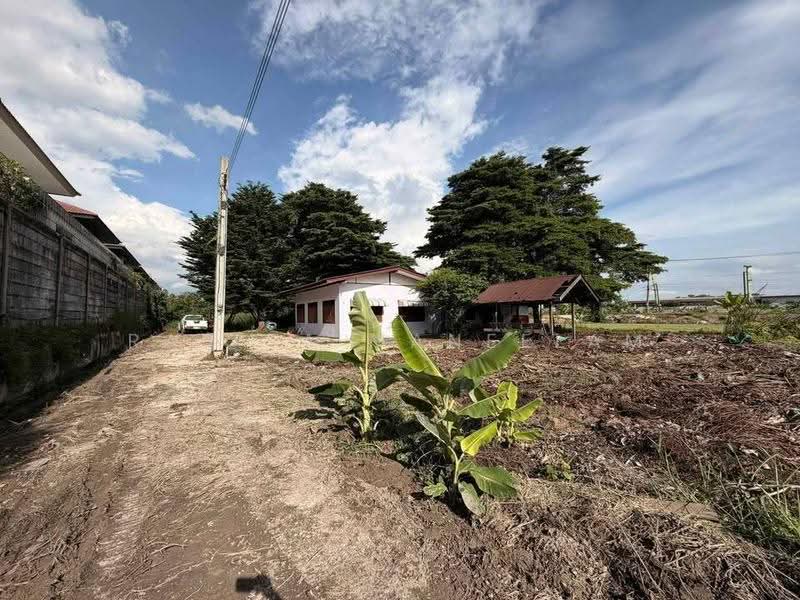 บ้าน 2-ห้องนอน, กรุงเทพ, สามวาตะวันตก, คลองสามวา, กรุงเทพ, 66 ตร.ม., บ้านเดี่ยว ขาย, โดย Rasita Maneelam, 500563150 - DDproperty.com