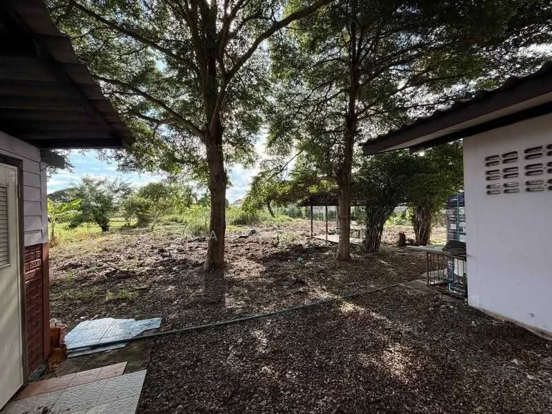 2-BR House, Bangkok, Sam Wa Tawan Tok, Khlong Sam Wa, Bangkok, 2 Bedrooms, 66 sqm, Single Detached House For Sale, by Rasita Maneelam, 500563150 - DDproperty.com