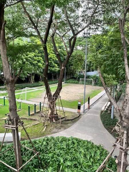 IDEO O2 Bangna, Bangkok, 195 Sanphawut Road, Bang Na Tai, Bang Na, Bangkok, 2 Bedrooms, 46 sqm, Condo For Rent, by Kanyapuk Tinanop, 500563225 - DDproperty.com