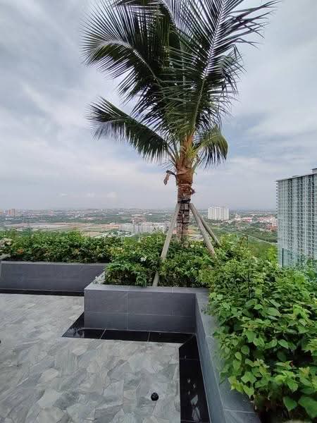 The Riviera Ocean Drive, Chon Buri (Pattaya), Jomtien Second Rd, Nong Pru, Bang Lamung (Pattaya), Chon Buri (Pattaya), 1 Bedroom, 23 sqm, Condo For Sale, by Puttirat Kleebyam, 500563230 - DDproperty.com