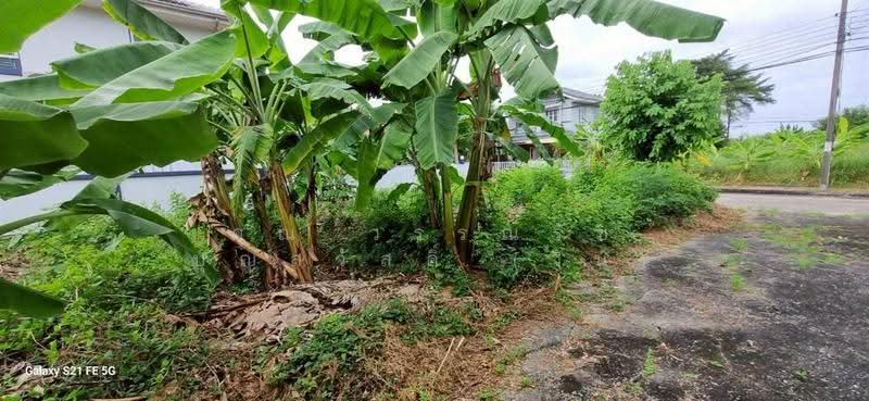 ที่ดินเปล่า 69.9 ตร.ว. ที่ดิน หมู่บ้านชัยพฤกษ์1 ลาดกระบัง ซอยคุ้มเกล้า7, กรุงเทพ, ถนนคุ้มเกล้า, ลำปลาทิว, ลาดกระบัง, กรุงเทพ, 280 ตร.ม., ที่ดิน ขาย, โดย คุณ วรรณรัช บุญสวัสดิ์ (วิน), 500563250 - DDproperty.com