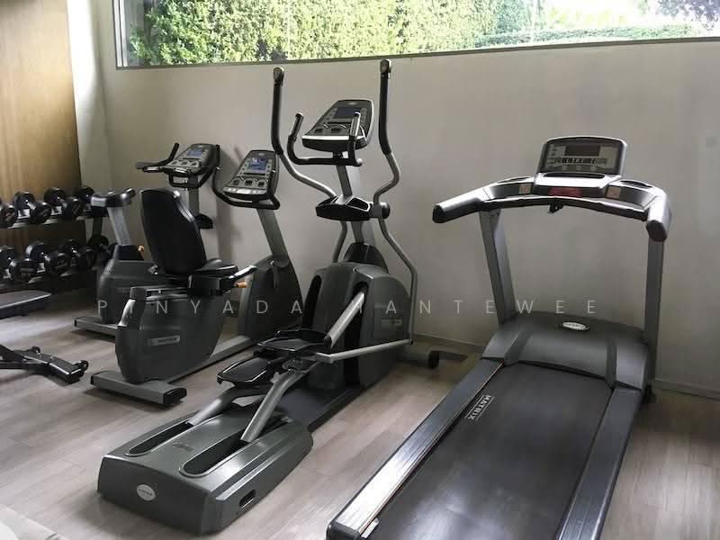 CEIL by Sansiri, Bangkok, 11 Soi Ekamai 12, Sukhumvit 63 Road, Khlong Tan Nua, Watthana, Bangkok, 1 Bedroom, 30 sqm, Condo For Sale, by Pinyada Hantewee, 500563507 - DDproperty.com