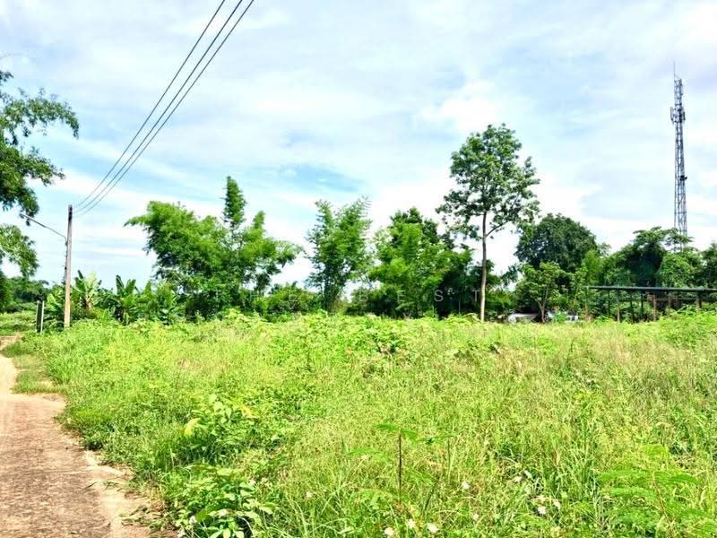 ที่ดินบ้านเกาะ อุตรดิตถ์, Uttaradit, Ban Ko, Muang Uttaradit, Uttaradit, , 3,088 sqm, Land For Sale, by The Best Property เล็ก, 500563541 - DDproperty.com