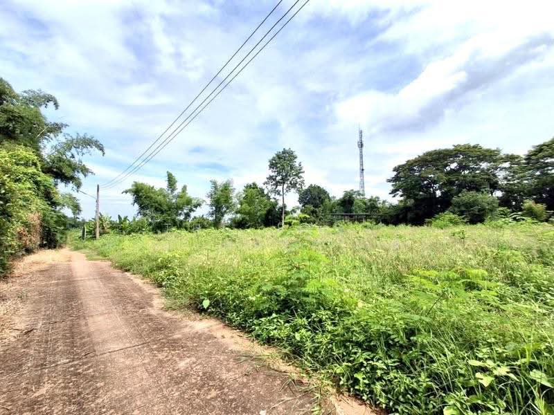 ที่ดินบ้านเกาะ อุตรดิตถ์, อุตรดิตถ์, บ้านเกาะ, เมืองอุตรดิตถ์, อุตรดิตถ์, 3,088 ตร.ม., ที่ดิน ขาย, โดย The Best Property เล็ก, 500563541 - DDproperty.com