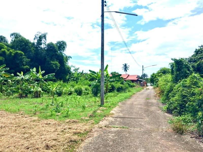 ที่ดินบ้านเกาะ อุตรดิตถ์, Uttaradit, Ban Ko, Muang Uttaradit, Uttaradit, , 3,088 sqm, Land For Sale, by The Best Property เล็ก, 500563541 - DDproperty.com