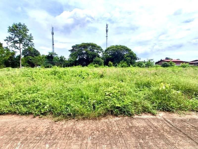 ที่ดินบ้านเกาะ อุตรดิตถ์, อุตรดิตถ์, บ้านเกาะ, เมืองอุตรดิตถ์, อุตรดิตถ์, 3,088 ตร.ม., ที่ดิน ขาย, โดย The Best Property เล็ก, 500563541 - DDproperty.com