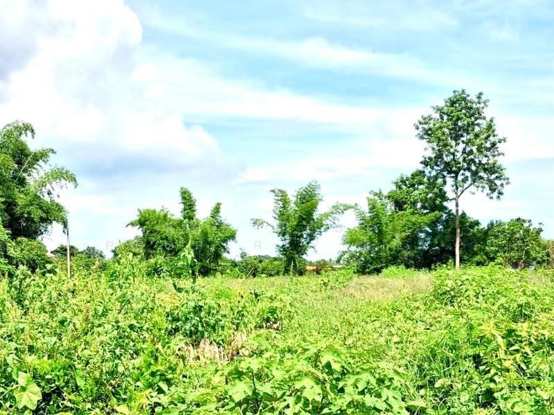 ที่ดินบ้านเกาะ อุตรดิตถ์, Uttaradit, Ban Ko, Muang Uttaradit, Uttaradit, , 3,088 sqm, Land For Sale, by The Best Property เล็ก, 500563541 - DDproperty.com
