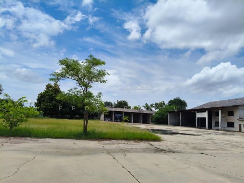 ที่ดินพร้อมสิ่งปลูกสร้างประโคนชัย บุรีรัมย์, Buri Ram, Prakhon Chai, Buri Ram, , 35,864 sqm, Land For Sale, by The Best Property ยุ, 500563571 - DDproperty.com