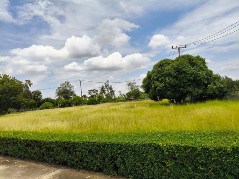 ที่ดินพร้อมสิ่งปลูกสร้างประโคนชัย บุรีรัมย์, Buri Ram, Prakhon Chai, Buri Ram, , 35,864 sqm, Land For Sale, by The Best Property ยุ, 500563571 - DDproperty.com