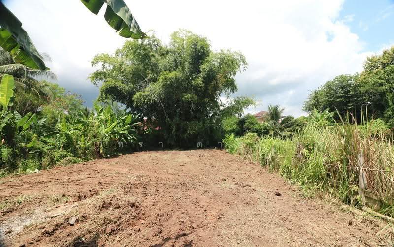 Ready House for Sale Nong Wua So, Udon Thani – 2 Bed 2 Bth, Udon Thani, Nong Wua So, Udon Thani, 2 Bedrooms, 80 sqm, Single Detached House For Sale, by วีรภัทรา ดาร์เปอร์, 500563608 - DDproperty.com