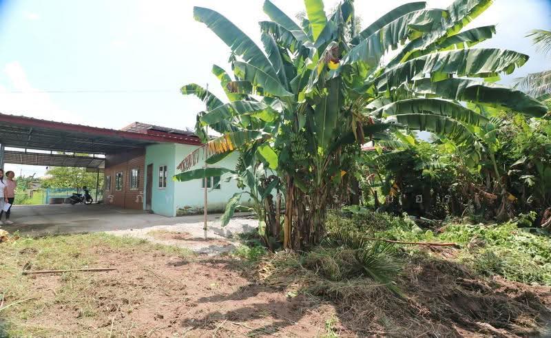 Ready House for Sale Nong Wua So, Udon Thani – 2 Bed 2 Bth, Udon Thani, Nong Wua So, Udon Thani, 2 Bedrooms, 80 sqm, Single Detached House For Sale, by วีรภัทรา ดาร์เปอร์, 500563608 - DDproperty.com