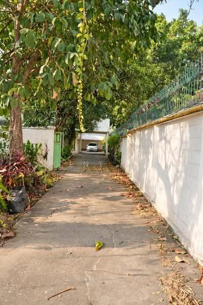 Detached House for Rent near BTS Ari – Company Registration Allowed, Pet-Friendly (SPSAD4175), Bangkok, Samsen Nai, Phaya Thai, Bangkok, 6 Bedrooms, 976 sqm, Single Detached House For Rent, by Agent Pla, 500563634 - DDproperty.com