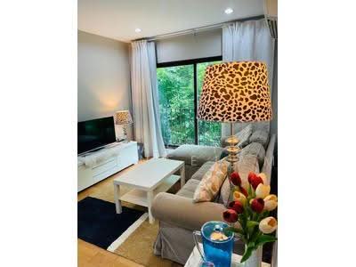 For Rent - Condolette Dwell Sukhumvit 26, Bangkok