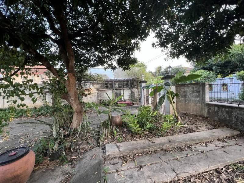 2-BR House, Bangkok, Taling Chan, Bangkok, 2 Bedrooms, 552 sqm, Single Detached House For Sale, by Chatuphon Mochida, 500563738 - DDproperty.com