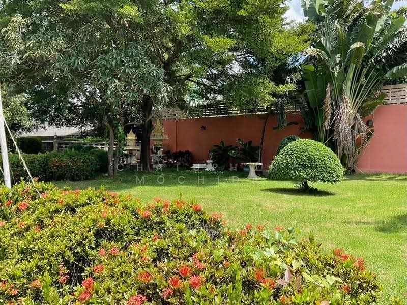 4-BR House, bangkok, Khlong Song Ton Nun, Lat Krabang, Bangkok, 4 Bedrooms, 1,664 sqm, Single Detached House For Sale, by Chatuphon Mochida, 500563779 - DDproperty.com