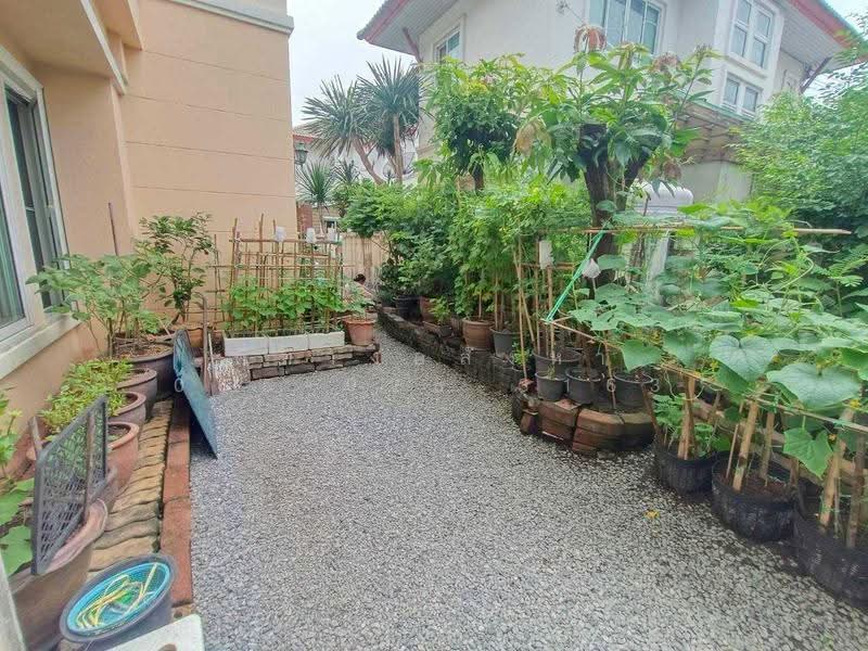 Baan Thongsathit 9 Watcharaphon-Rattanakosin : บ้านทองสถิตย์ 9 วัชรพล-รัตนโกสินทร์, กรุงเทพ, ถนน วัชรพล, คลองถนน, สายไหม, กรุงเทพ, 265 ตร.ม., บ้านเดี่ยว ขาย, โดย ที่ทางอสังหา 065-925-3163, 500563821 - DDproperty.com
