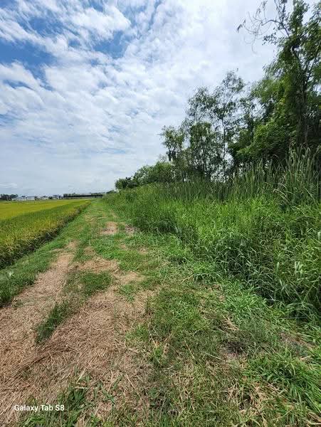 73130, Nakhon Pathom, Khlong Nok Krathung, Bang Len, Nakhon Pathom, , 16,452 sqm, Land For Sale, by อุมาพร นิเวศบวรชัย, 500563936 - DDproperty.com