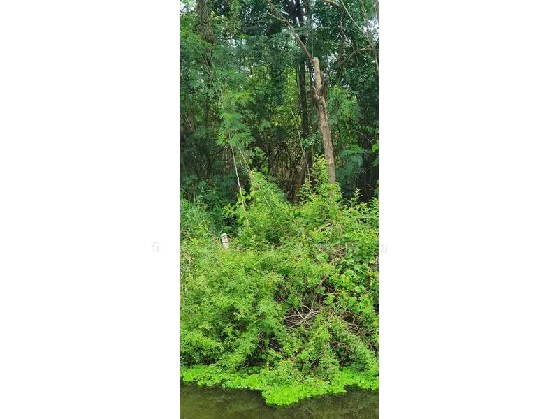 73130, Nakhon Pathom, Khlong Nok Krathung, Bang Len, Nakhon Pathom, , 16,452 sqm, Land For Sale, by อุมาพร นิเวศบวรชัย, 500563936 - DDproperty.com