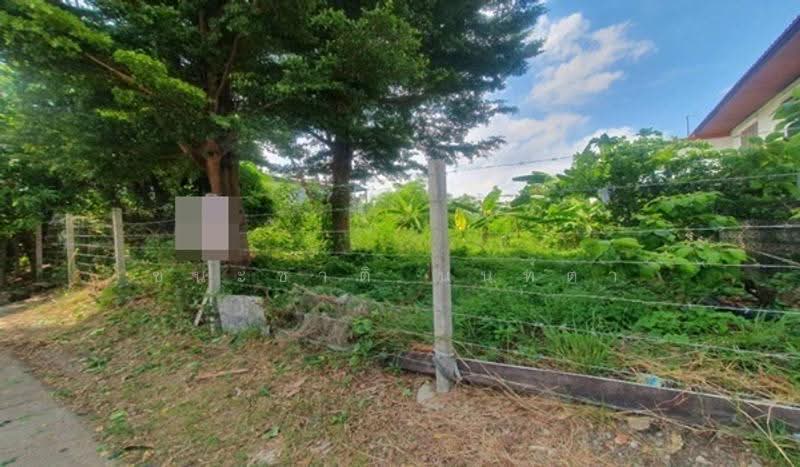 หมู่บ้านสินธร รังสิต, ปทุมธานี, บางพูน, เมืองปทุมธานี, ปทุมธานี, 404 ตร.ม., ที่ดิน ขาย, โดย ชนะชาติ นนท์ตา, 500563943 - DDproperty.com