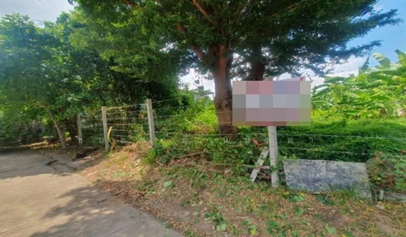 หมู่บ้านสินธร รังสิต, ปทุมธานี, บางพูน, เมืองปทุมธานี, ปทุมธานี, 404 ตร.ม., ที่ดิน ขาย, โดย ชนะชาติ นนท์ตา, 500563943 - DDproperty.com