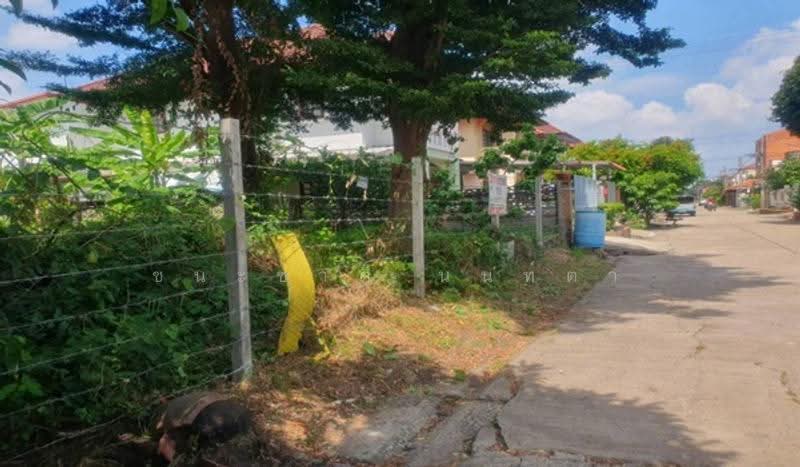 หมู่บ้านสินธร รังสิต, ปทุมธานี, บางพูน, เมืองปทุมธานี, ปทุมธานี, 404 ตร.ม., ที่ดิน ขาย, โดย ชนะชาติ นนท์ตา, 500563943 - DDproperty.com