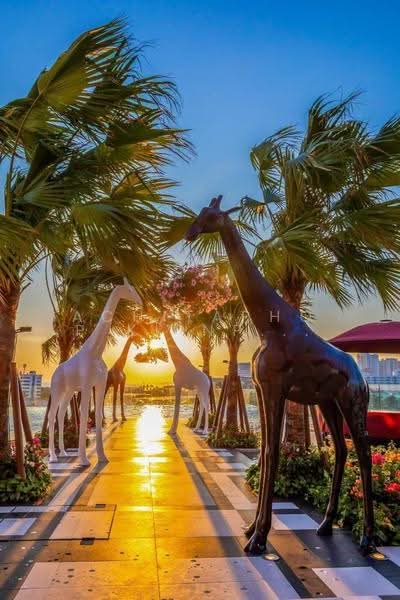 The Riviera Ocean Drive, Chon Buri (Pattaya), Jomtien Second Rd, Nong Pru, Bang Lamung (Pattaya), Chon Buri (Pattaya), 1 Bedroom, 26 sqm, Condo For Sale, by Achitaphop Klinpipat, 500563985 - DDproperty.com