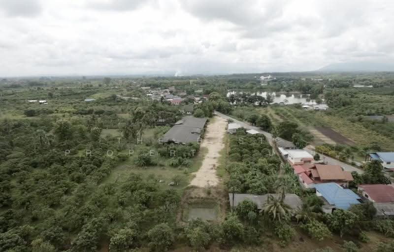 ที่ดินเวียงหนองล่อง ลำพูน, Lamphun, Nong Long, Wieng Nong long, Lamphun, , 3,168 sqm, Land For Sale, by The Best Property บอย, 500564019 - DDproperty.com